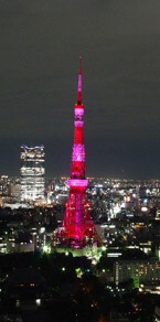 pink_tower.jpg