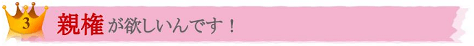 No.3 親権が欲しいんです